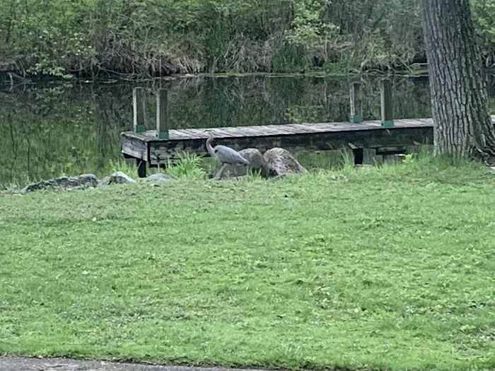 Babcock County Park Campground Picture 8