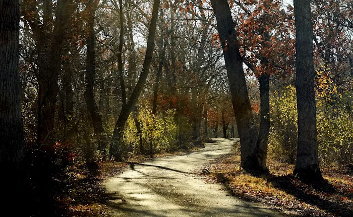 Astico Park Picture 6