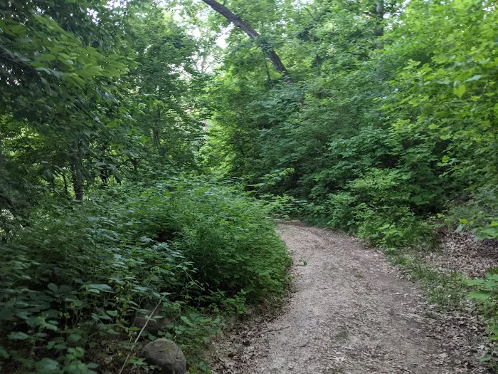 Astico Park Picture 4