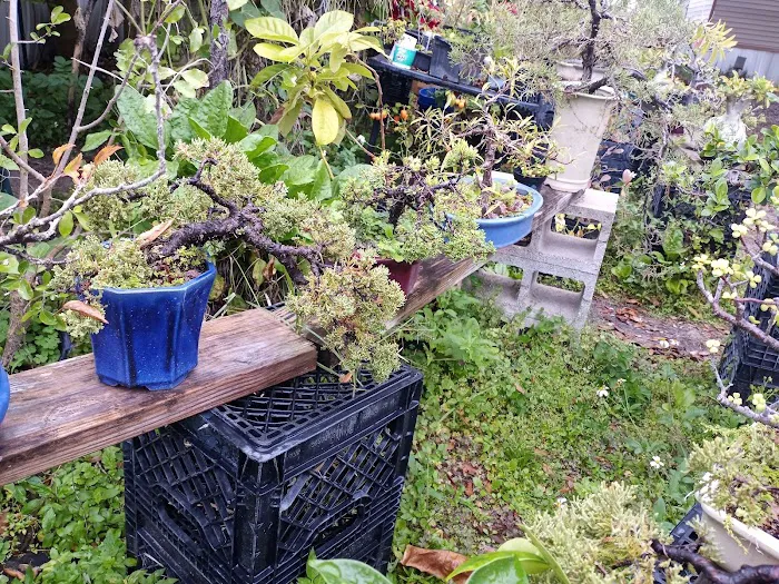 Enchanted Grove Mobile Home Picture 4