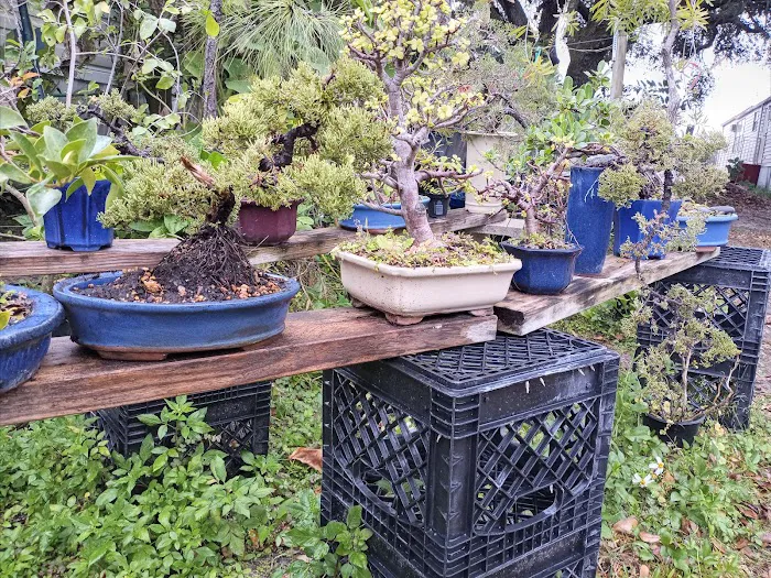 Enchanted Grove Mobile Home Picture 6