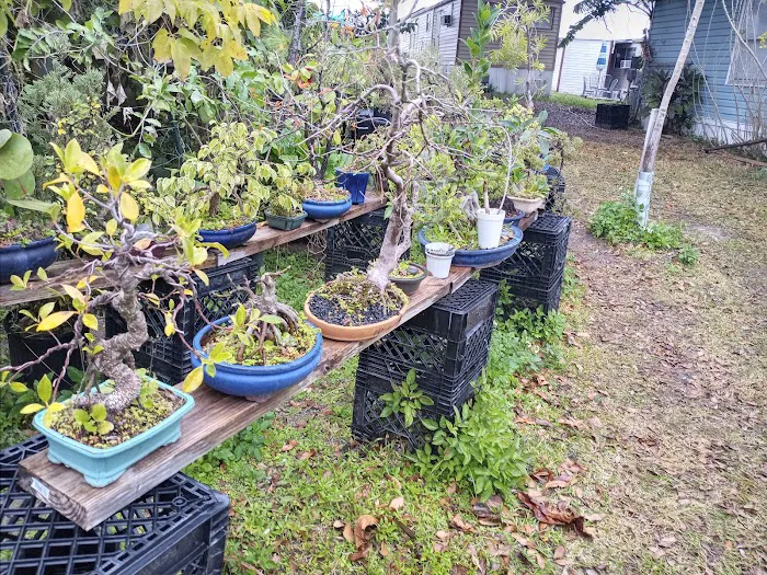 Enchanted Grove Mobile Home Picture 3