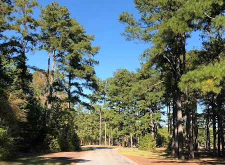 Sweetwater Campground - Allatoona Lake