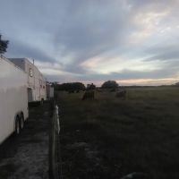 Bullock's Landing ico
