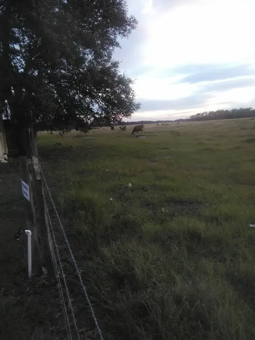 Bullock's Landing Picture 3