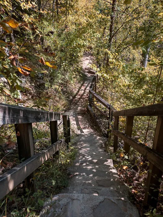 Timberline Glamping Cheaha Picture 9