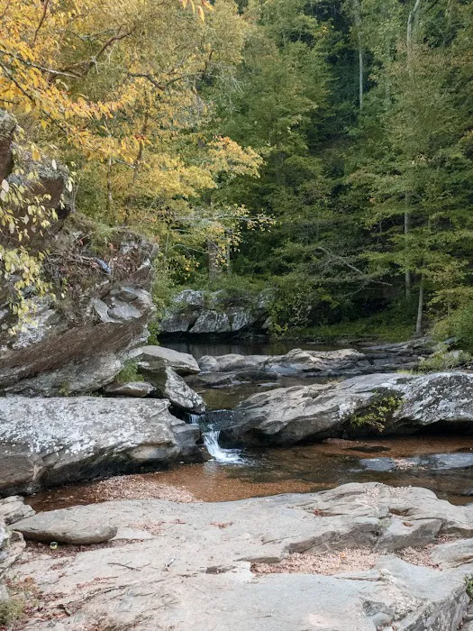 Timberline Glamping Cheaha Picture 7