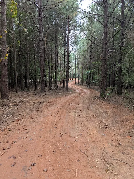 Great Sky RV Park Wedowee LLC Picture 7