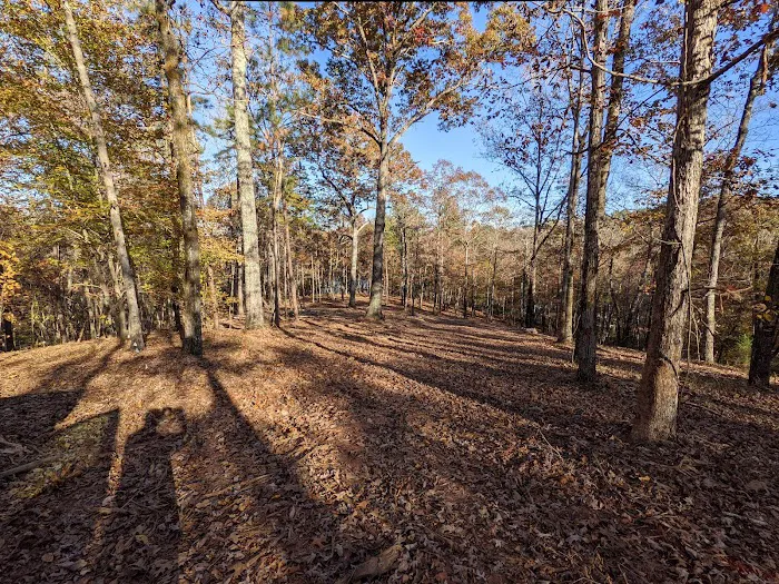 Great Sky RV Park Wedowee LLC Picture 5