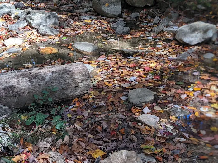 Cheaha State Park Lower Group Campground Picture 5