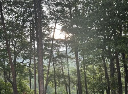 Cheaha State Park Lower Improved Campground