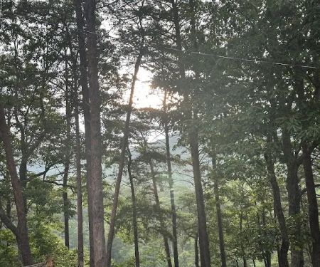Cheaha State Park Lower Improved Campground
