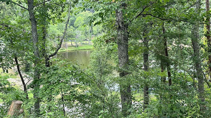Cheaha State Park Lower Improved Campground Picture 6