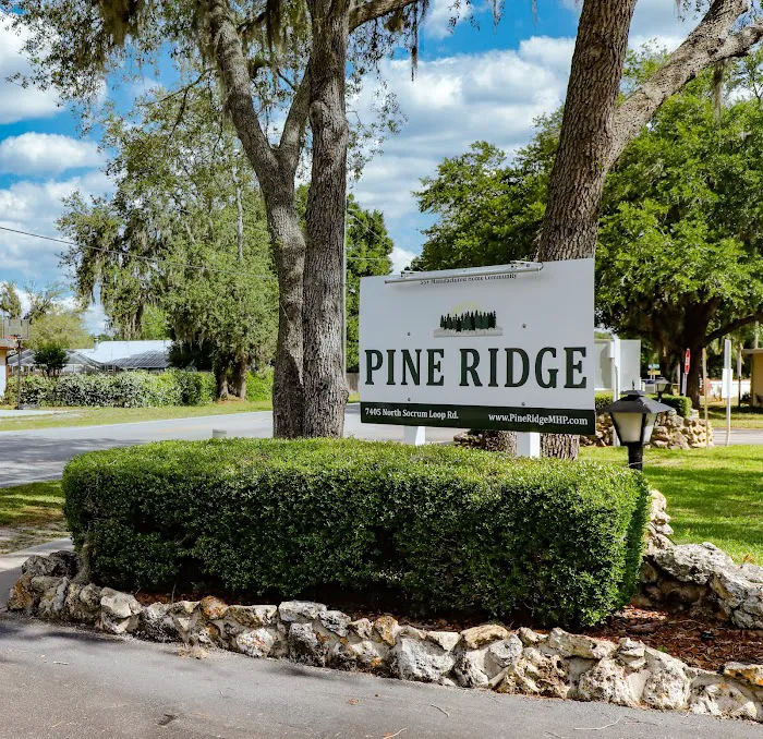 Pine Ridge Estates Picture 6