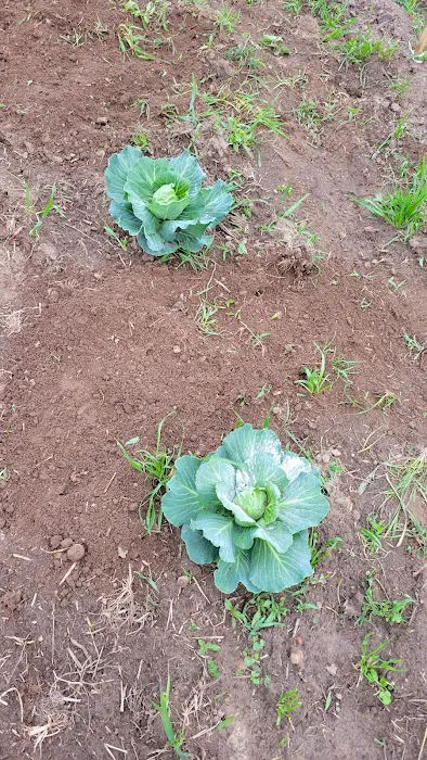 Bates-Farm Picture 4
