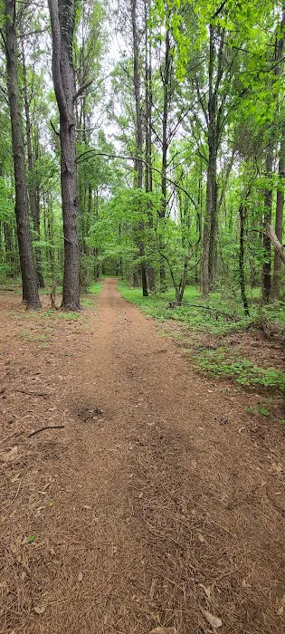 Cowford Campground Picture 6