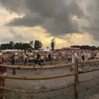 York Family Farms -RTS ico