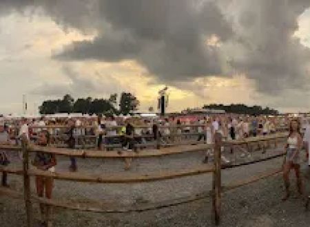 York Family Farms -RTS
