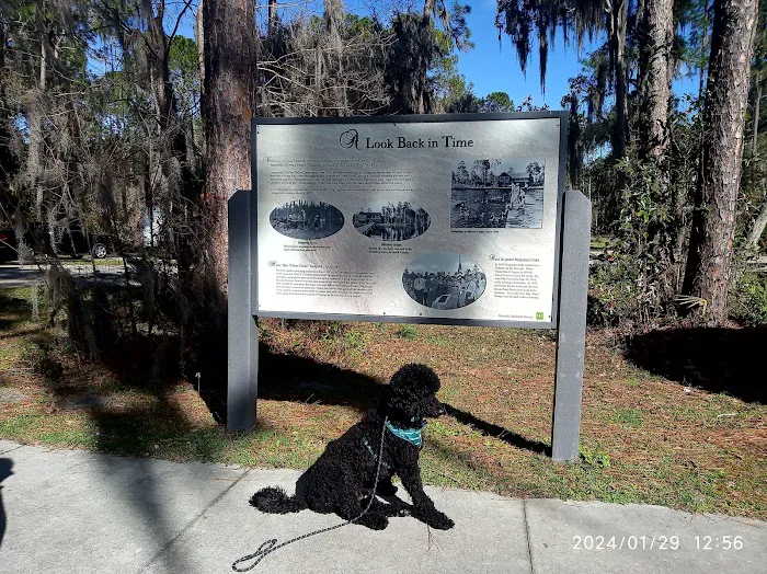 Ocean Pond Campground Picture 1