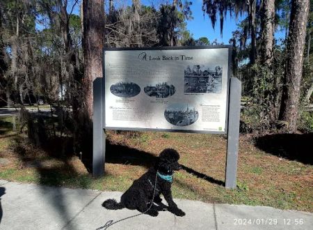 Ocean Pond Campground