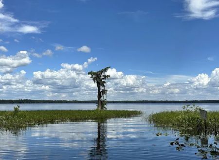 Olustee, FL. Hog Pen Landing