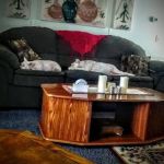 Park Plaza Mobile Estates and RV Park