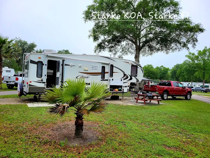 Starke / Gainesville N.E. KOA Holiday Picture 9
