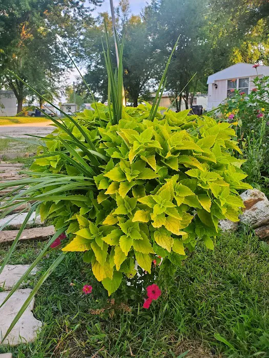 Oakwood Estates Picture 8