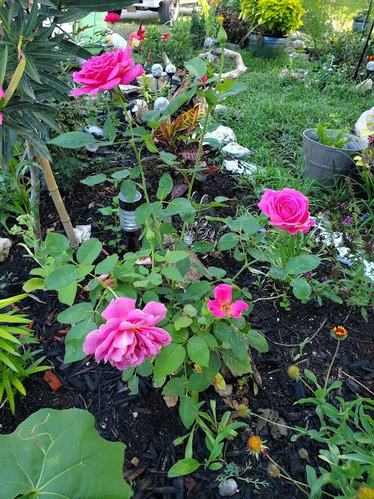 Oakwood Estates Picture 9