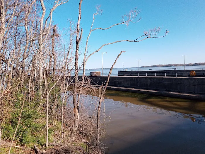Lauderdale Co Commission RV Campground Picture 3