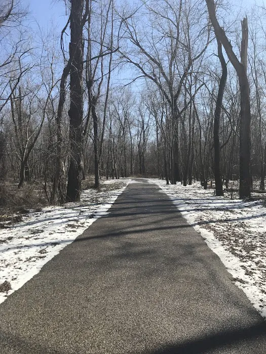 Kaskaskia River Project Campground Picture 9