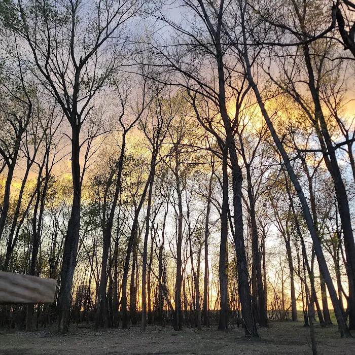 Kaskaskia River Project Campground Picture 5