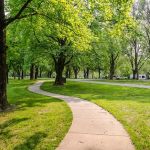 Kaskaskia River Project Campground