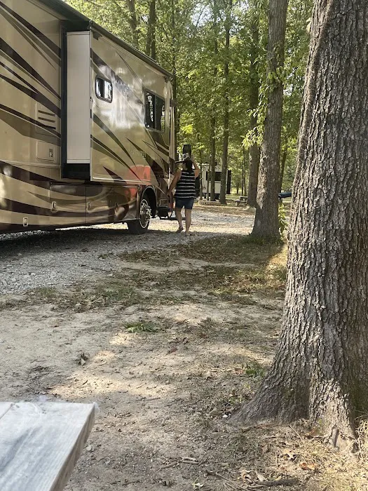 Bubba J's RV Park Picture 6
