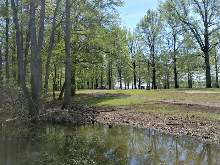 Horseshoe Lake State Fish & Wildlife Area-West Campground Picture 1
