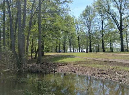 Horseshoe Lake State Fish & Wildlife Area-West Campground