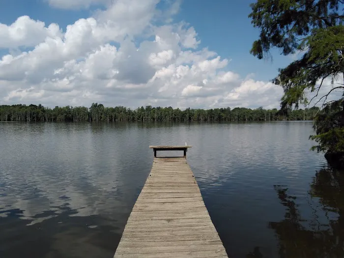 Horseshoe Lake State Fish & Wildlife Area-West Campground Picture 7
