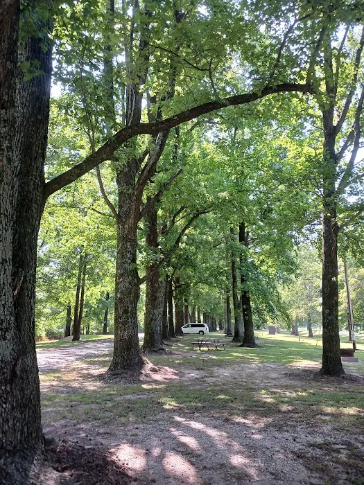 Horseshoe Lake State Fish & Wildlife Area-West Campground Picture 9