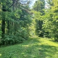 General Watkins Conservation Area ico