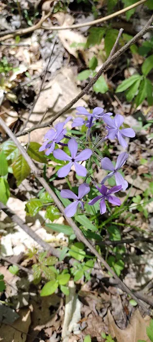 General Watkins Conservation Area Picture 3