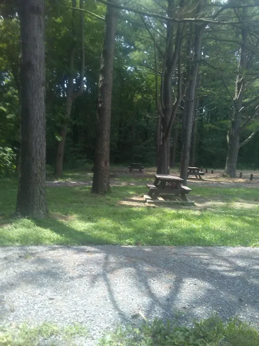 General Watkins Conservation Area Picture 5