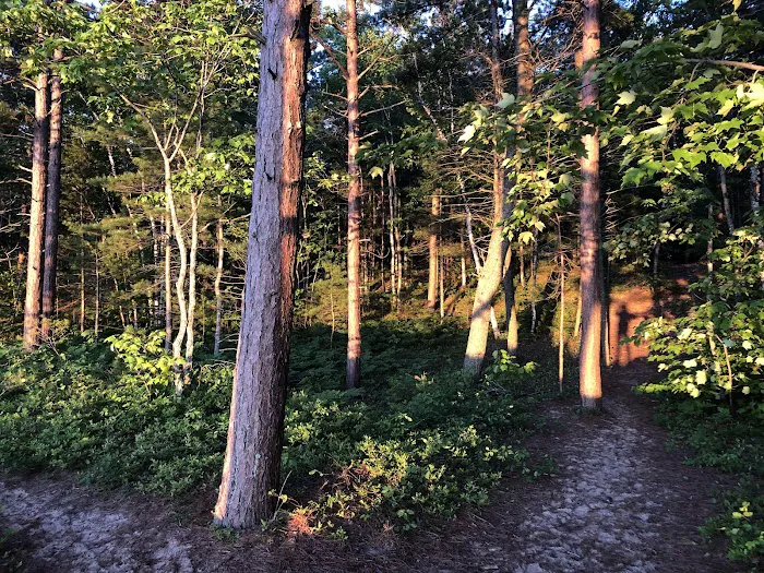 Twelvemile Beach Campground Picture 6