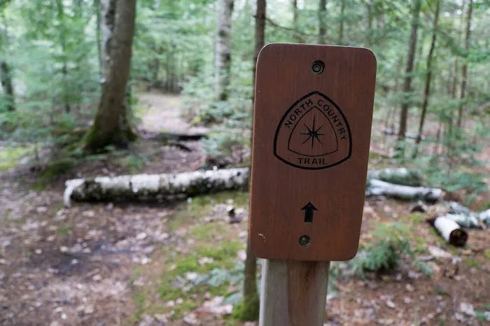 Sevenmile Campground Picture 3