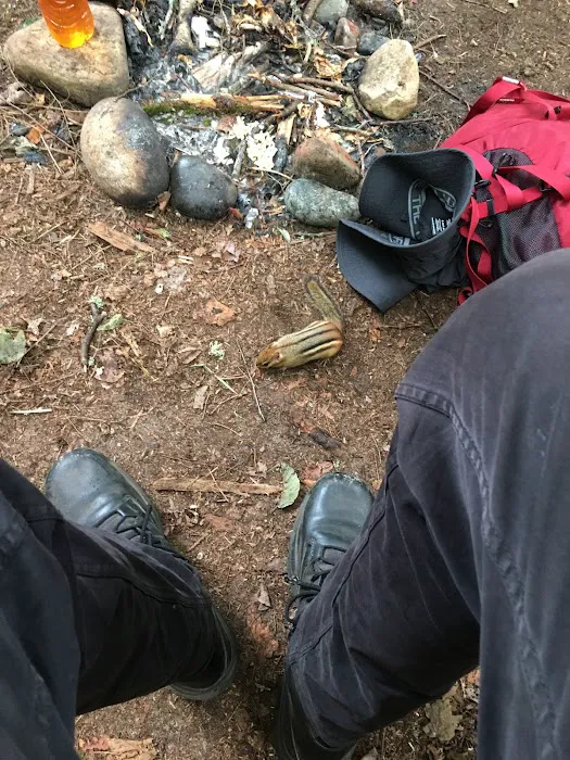 Sevenmile Campground Picture 7