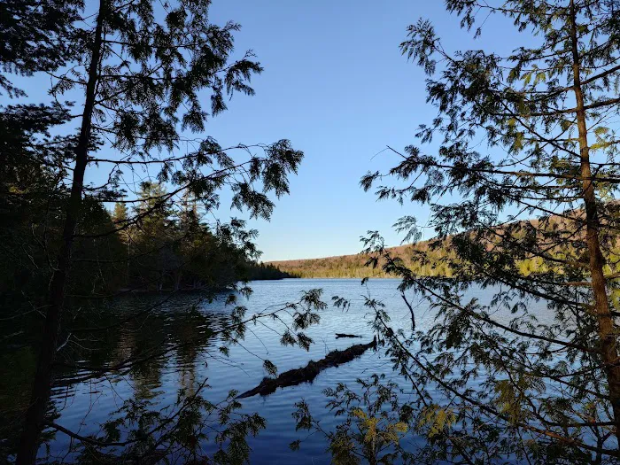 Trapper's Lake Campground Picture 8