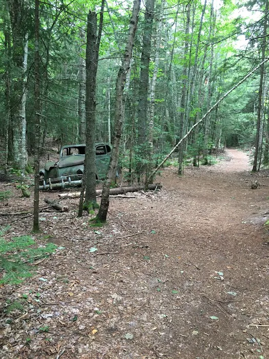 Pine Bluff Campground Picture 10