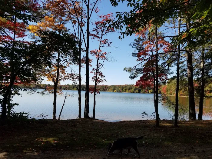 Colwell Lake Campground Picture 6