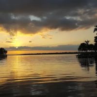 Cedar Cove Resort Corporation ico