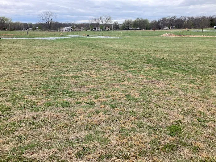 Park It Here llc Picture 7