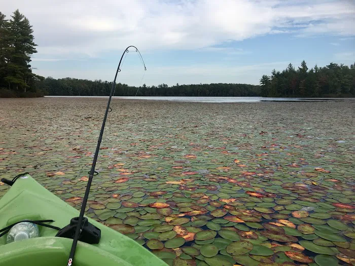 Big Island Lake Wilderness Picture 9